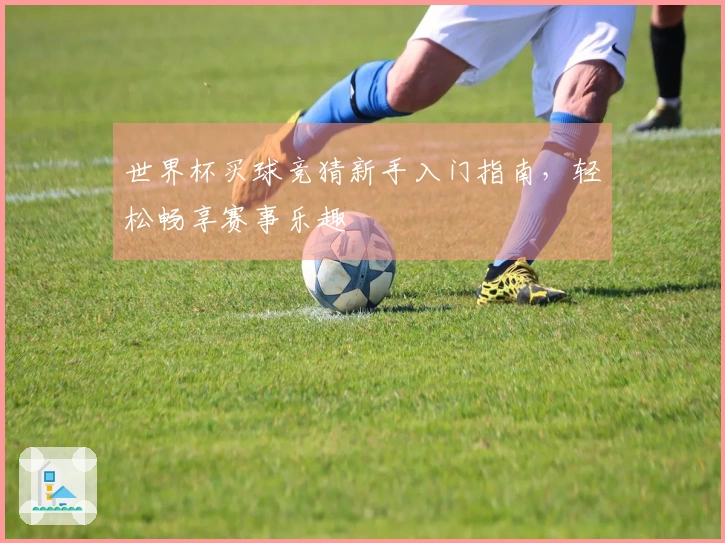 世界杯买球竞猜新手入门指南，轻松畅享赛事乐趣
