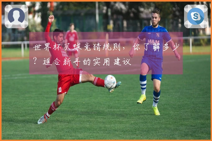 世界杯买球竞猜规则，你了解多少？适合新手的实用建议