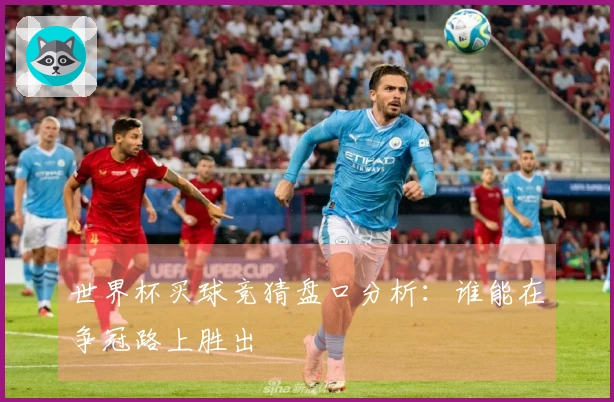 世界杯买球竞猜盘口分析：谁能在争冠路上胜出