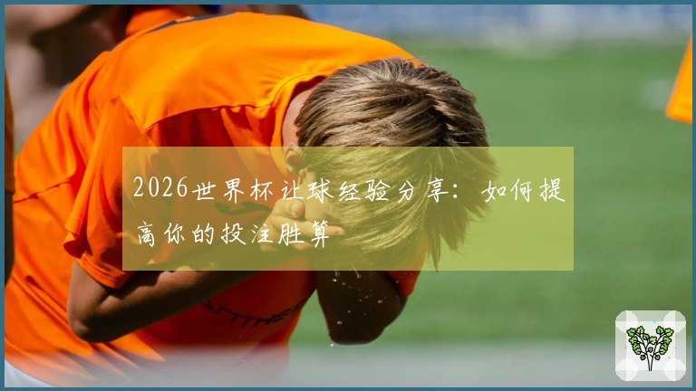 2026世界杯让球经验分享：如何提高你的投注胜算