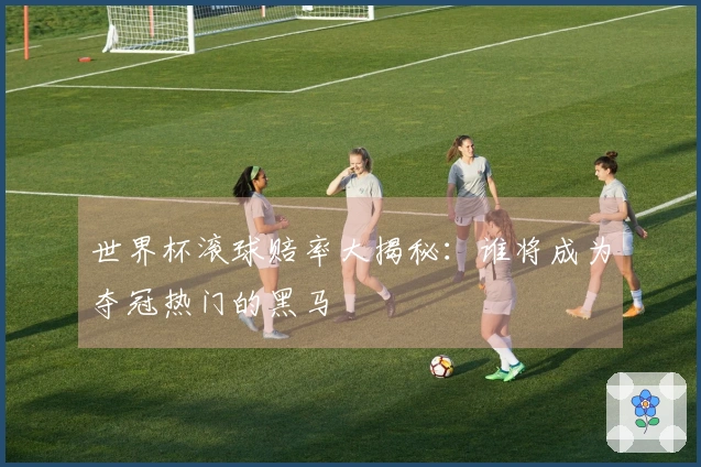 世界杯滚球赔率大揭秘：谁将成为夺冠热门的黑马