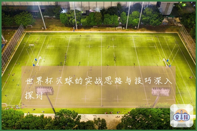世界杯买球的实战思路与技巧深入探讨