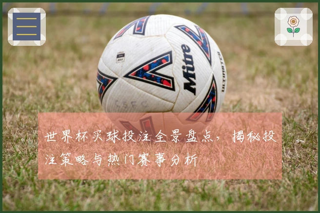 世界杯买球投注全景盘点，揭秘投注策略与热门赛事分析